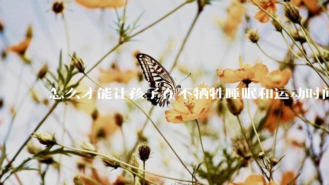怎么才能让孩子在不牺牲睡眠和运动时间的前提下，成绩名列前茅？