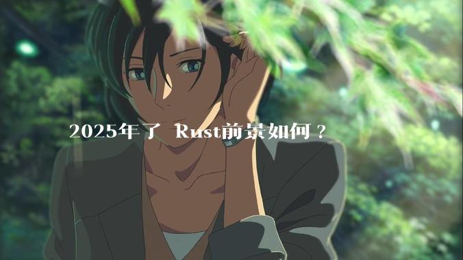 2025年了 Rust前景如何?