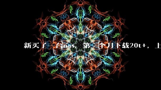 新买了一台nas，第一个月下载20t+，上传5+，不会被网警盯上吧?