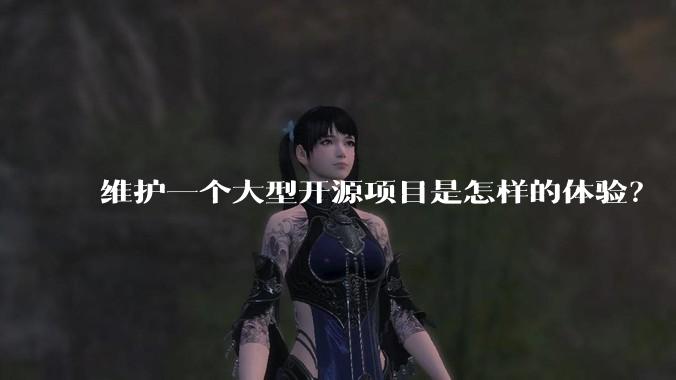 维护一个大型开源项目是怎样的体验？