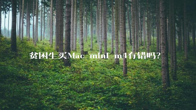 贫困生买Mac mini m4有错吗？
