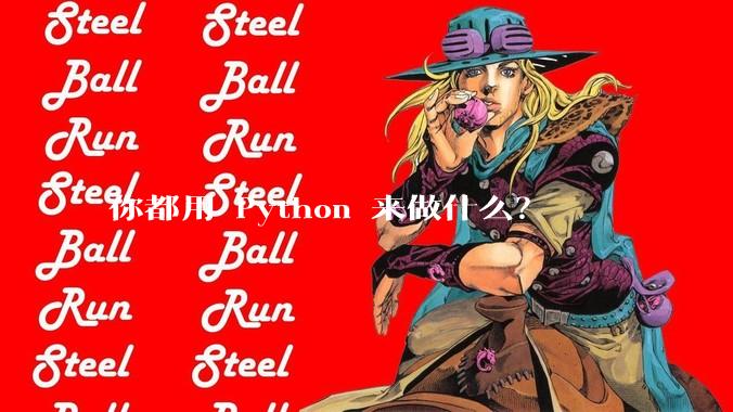 你都用 Python 来做什么？