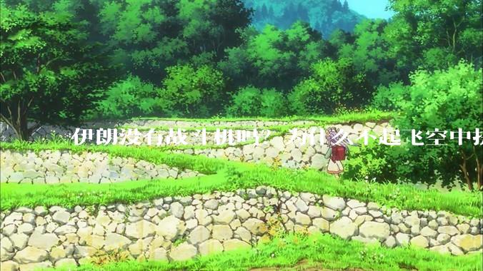 伊朗没有战斗机吗？为什么不起飞空中拼***？