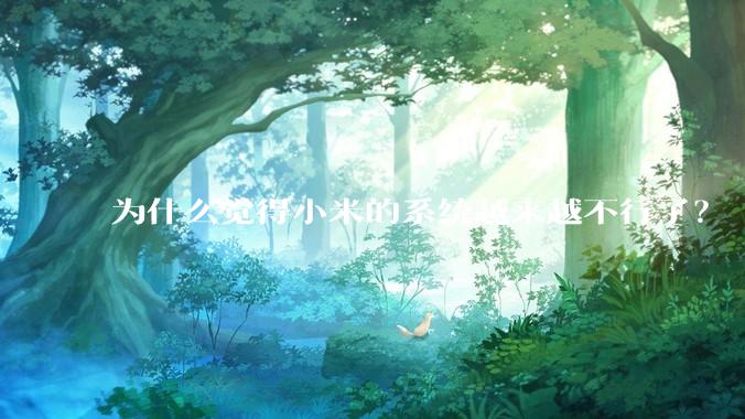 为什么觉得小米的系统越来越不行了？