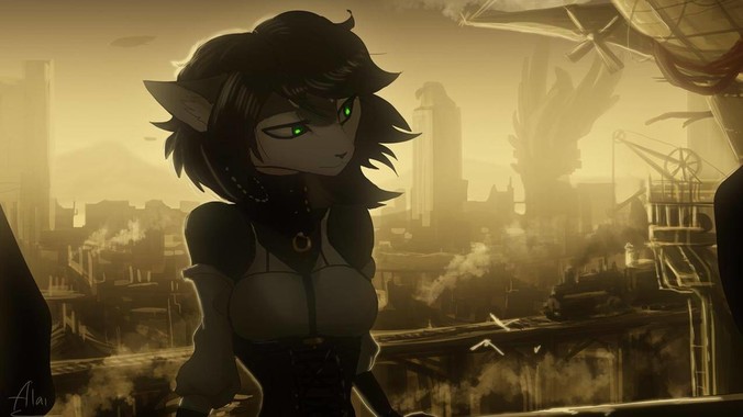 求pr安装包及安装方法?