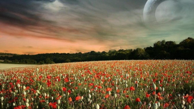 2025年现在开发php项目选择lar***el框架好还是thinkphp框架好？